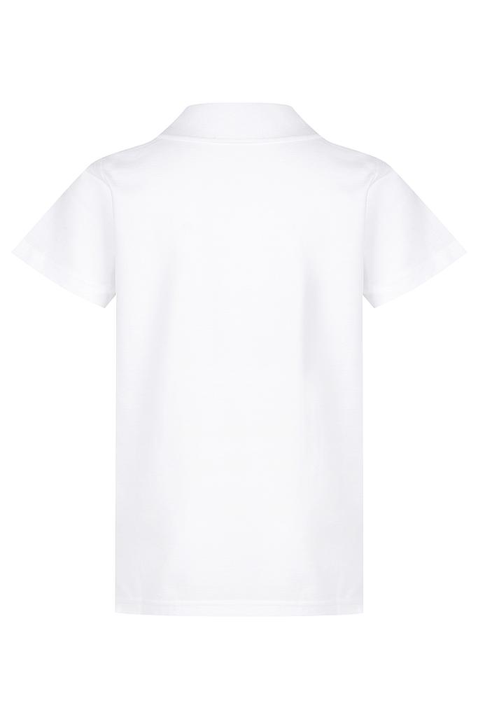 Back - 3312012