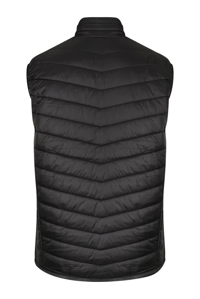 Back - 1523022