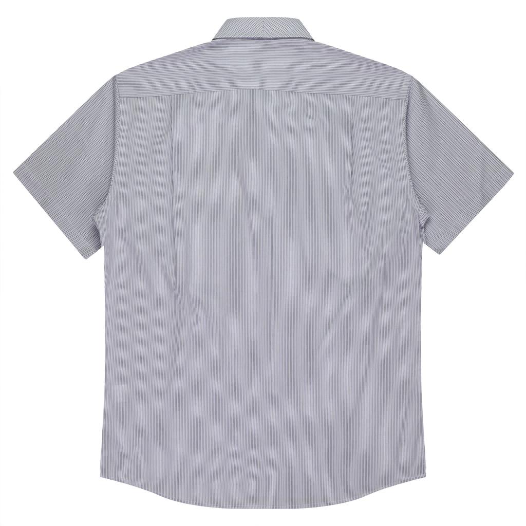 Back - 1906S01198