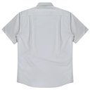 Back View - 1910S017