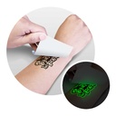 Model - Feature