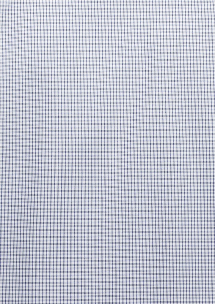 White/Navy Check