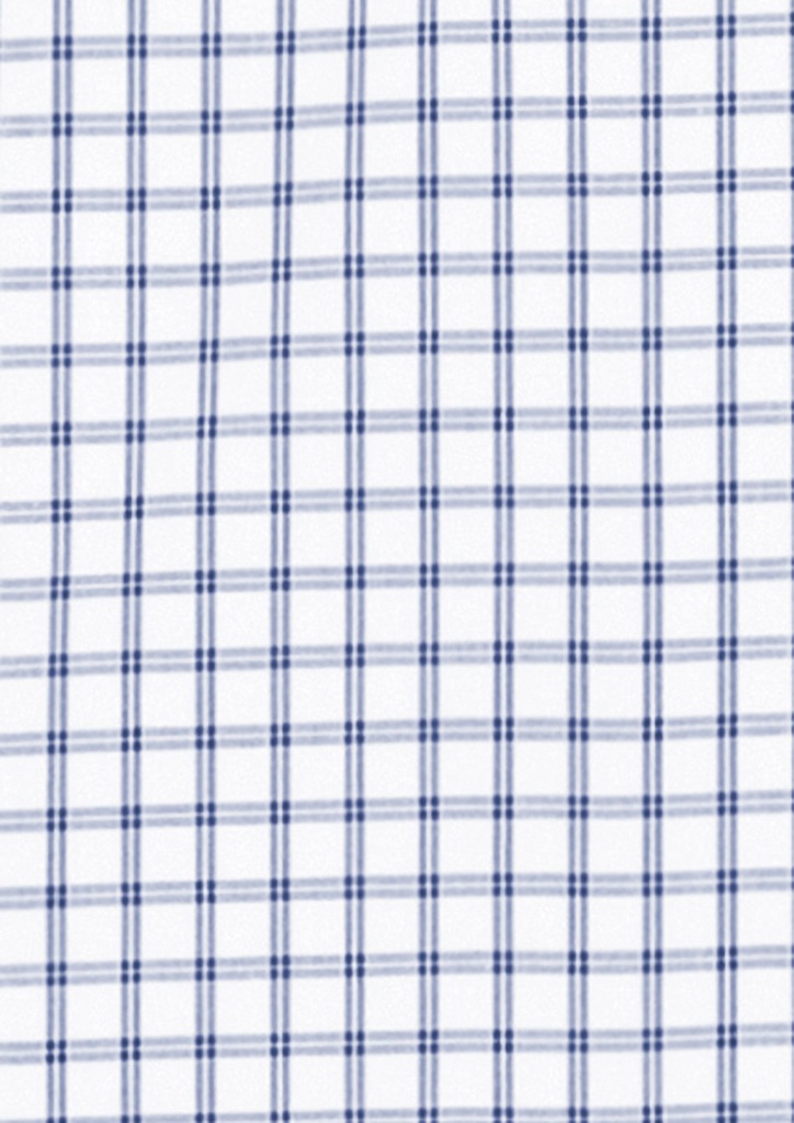White/Blue