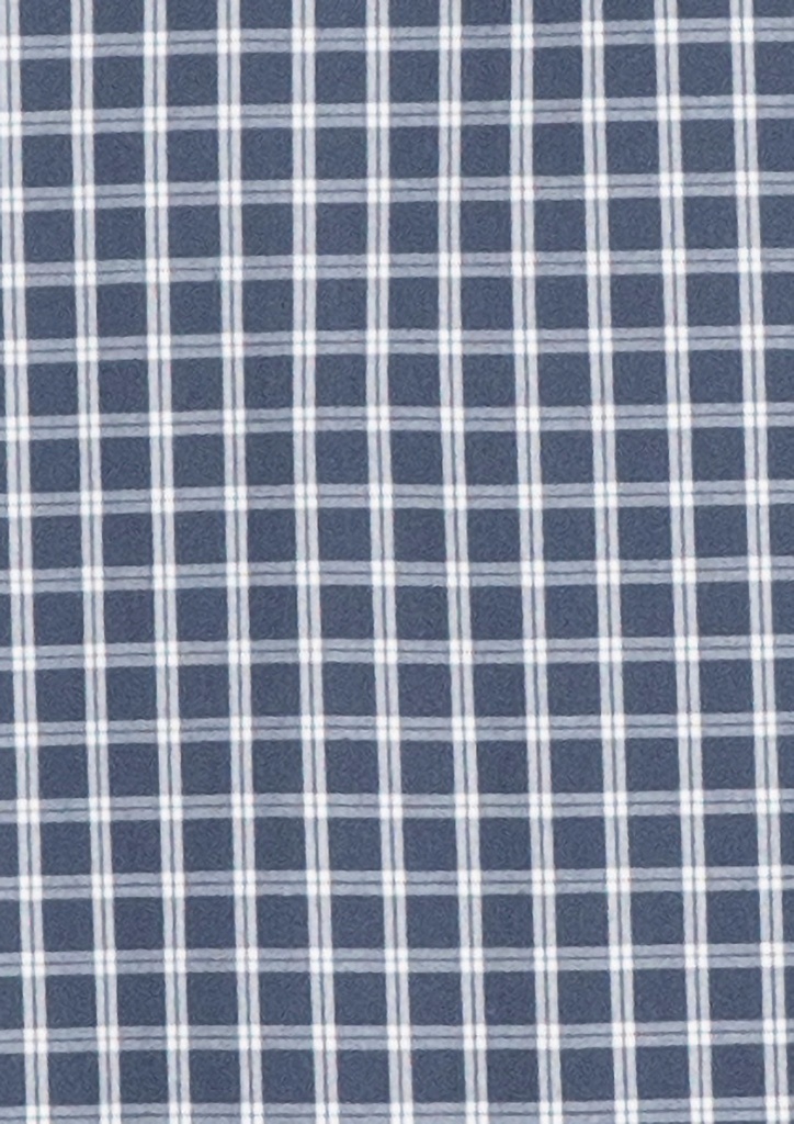 Storm Blue/White Check
