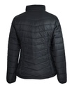 Back - 2522023