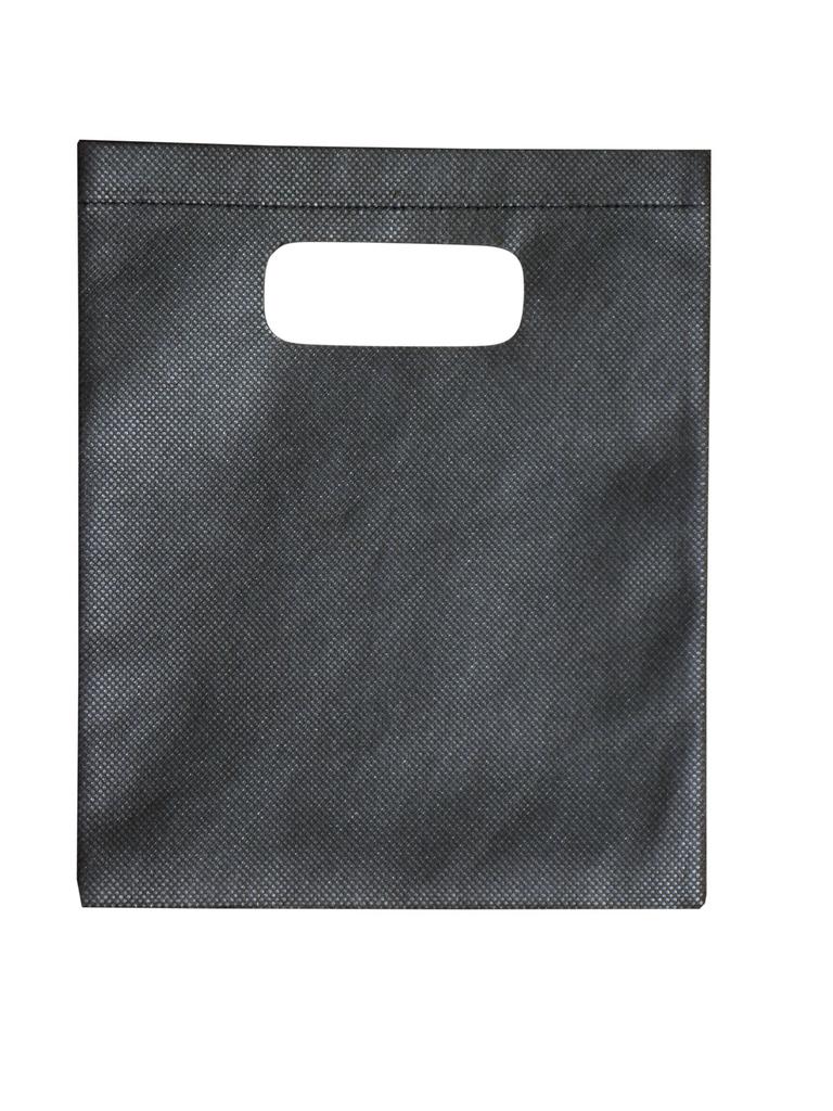 Non-Woven Gift Bag - Small - 2006