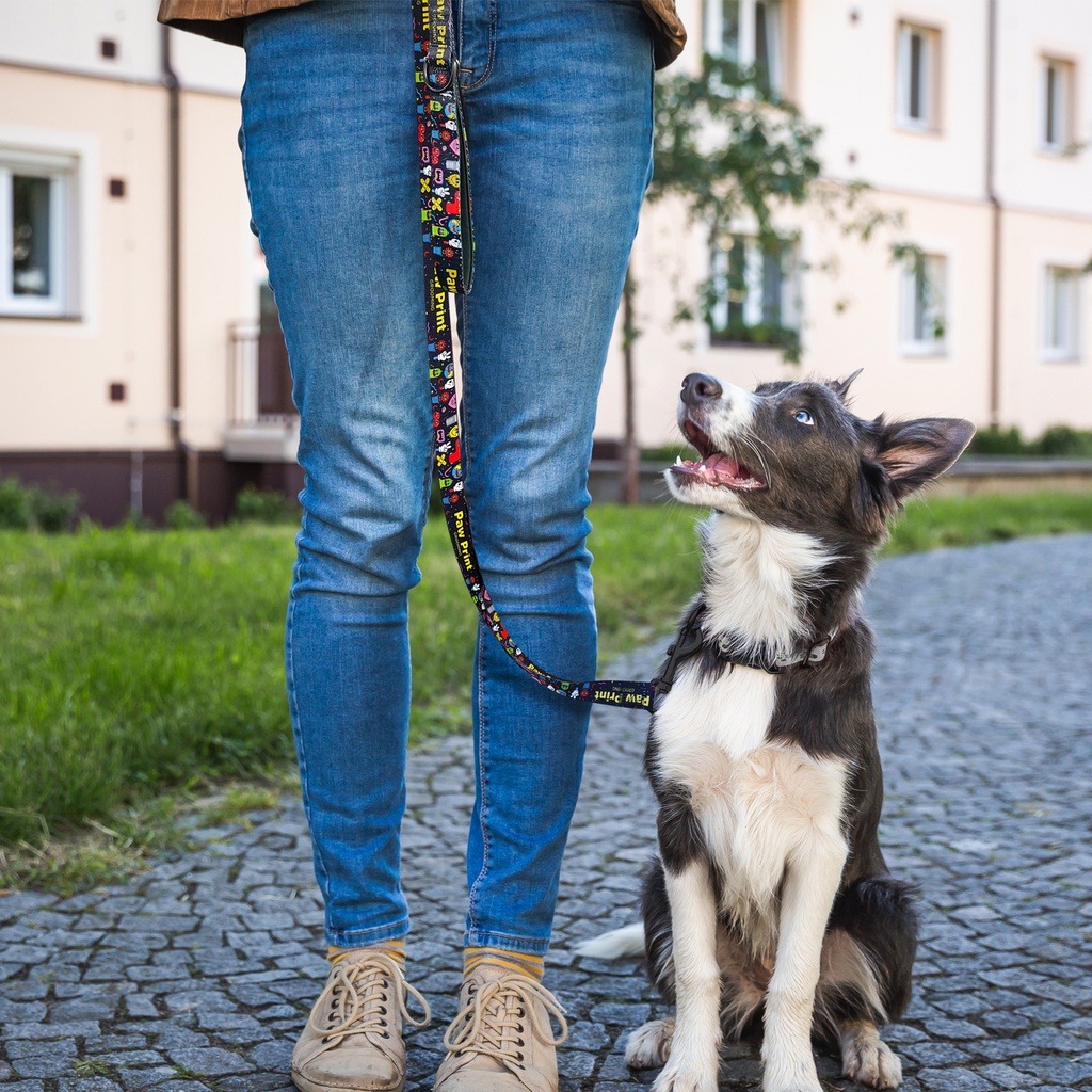 Amigo Dog Leash - 125069