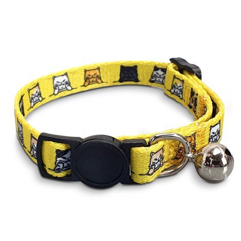 Amigo Cat Collar - 125072